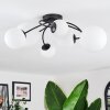 Chehalis Plafondlamp, Kogellampje 60 cm Wit, 6-lichts