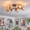 Chehalis Plafondlamp, Kogellampje 60 cm Amber, Duidelijk, 6-lichts