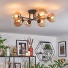 Chehalis Plafondlamp, Kogellampje 60 cm Amber, Duidelijk, 6-lichts