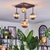 Chehalis Plafondlamp, Kogellampje Rookkleurig, 5-lichts