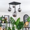 Chehalis Plafondlamp, Kogellampje Rookkleurig, 5-lichts