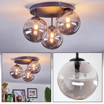 Chehalis Plafondlamp, Kogellampje 34 cm Rookkleurig, 3-lichts Chehalis Plafondlamp, Kogellampje 34 cm Rookkleurig, 3-lichts