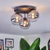 Chehalis Plafondlamp, Kogellampje 34 cm Duidelijk, Rookkleurig, 3-lichts
