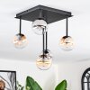 Chehalis Plafondlamp, Kogellampje Amber, Duidelijk, Rookkleurig, 5-lichts