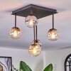 Chehalis Plafondlamp, Kogellampje Amber, Duidelijk, Rookkleurig, 5-lichts