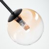 Chehalis Plafondlamp, Kogellampje Amber, Duidelijk, 5-lichts