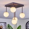 Chehalis Plafondlamp, Kogellampje Wit, 5-lichts