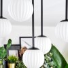 Chehalis Plafondlamp, Kogellampje Wit, 5-lichts