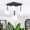 Chehalis Plafondlamp, Kogellampje Wit, 5-lichts