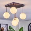 Chehalis Plafondlamp, Kogellampje Wit, 5-lichts