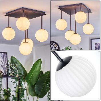 Chehalis Plafondlamp, Kogellampje Wit, 5-lichts