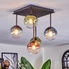 Chehalis Plafondlamp, Kogellampje Blauw, Groen, Duidelijk, Koperkleurig, 5-lichts