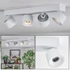 Narel Plafondlamp, Plafondspot LED Wit, 4-lichts