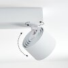 Narel Plafondlamp, Plafondspot LED Wit, 4-lichts