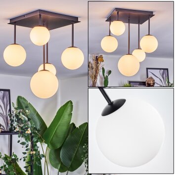 Chehalis Plafondlamp, Kogellampje Wit, 5-lichts