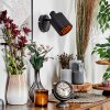 Fallhagen Wandlamp, Muurspot Zwart, 1-licht
