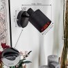 Fallhagen Wandlamp, Muurspot Zwart, 1-licht