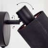 Fallhagen Wandlamp, Muurspot Zwart, 1-licht