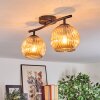 Gastor Plafondlamp, Kogellampje Amber, 2-lichts