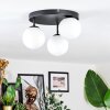 Chehalis Plafondlamp, Kogellampje Wit, 3-lichts
