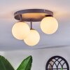 Chehalis Plafondlamp, Kogellampje Wit, 3-lichts