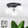 Chehalis Plafondlamp, Kogellampje Wit, 3-lichts