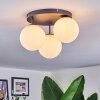 Chehalis Plafondlamp, Kogellampje Wit, 3-lichts