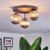 Chehalis Plafondlamp, Kogellampje Rookkleurig, 3-lichts