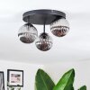 Chehalis Plafondlamp, Kogellampje Rookkleurig, 3-lichts