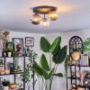 Chehalis Plafondlamp, Kogellampje Amber, Duidelijk, Rookkleurig, 3-lichts