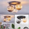 Chehalis Plafondlamp, Kogellampje Amber, Duidelijk, Rookkleurig, 3-lichts