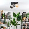 Chehalis Plafondlamp, Kogellampje Amber, Duidelijk, Rookkleurig, 3-lichts