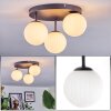 Chehalis Plafondlamp, Kogellampje Wit, 3-lichts