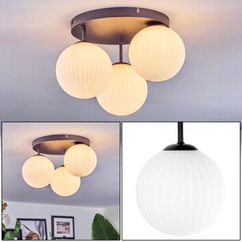 Chehalis Plafondlamp, Kogellampje Wit, 3-lichts