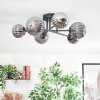 Chehalis Plafondlamp, Kogellampje 55 cm Rookkleurig, 6-lichts