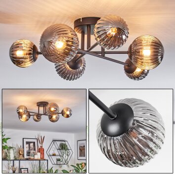 Chehalis Plafondlamp, Kogellampje 55 cm Rookkleurig, 6-lichts