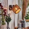 Cando Wandlamp, Muurspot Zwart, 1-licht