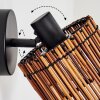 Cando Wandlamp, Muurspot Zwart, 1-licht