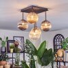 Chehalis Plafondlamp, Kogellampje Amber, Duidelijk, Rookkleurig, 5-lichts