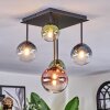 Chehalis Plafondlamp, Kogellampje Blauw, Groen, Duidelijk, Koperkleurig, 5-lichts