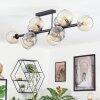 Ripoll Plafondlamp, Kogellampje Amber, Duidelijk, Rookkleurig, 10-lichts