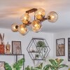 Ripoll Plafondlamp, Kogellampje Amber, Duidelijk, Rookkleurig, 10-lichts