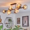 Ripoll Plafondlamp, Kogellampje Amber, Duidelijk, Rookkleurig, 10-lichts