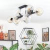 Ripoll Plafondlamp, Kogellampje Amber, Duidelijk, Rookkleurig, 10-lichts