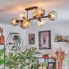 Ripoll Plafondlamp, Kogellampje Amber, Duidelijk, Rookkleurig, 10-lichts