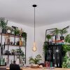 Sydan Hanglamp, Hanglamp Natuurlijke kleuren, Zwart, 1-licht