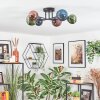 Chehalis Plafondlamp, Kogellampje 55 cm Blauw, Groen, Koperkleurig, 6-lichts