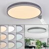 Salmi Plafondlamp, Paneel LED Grijs, Zilver, 1-licht, Afstandsbediening