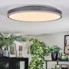 Salmi Plafondlamp, Paneel LED Grijs, Zilver, 1-licht, Afstandsbediening