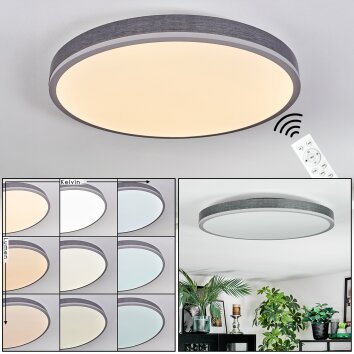 Salmi Plafondlamp, Paneel LED Grijs, Zilver, 1-licht, Afstandsbediening